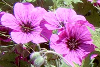  Abundance Workshops 1